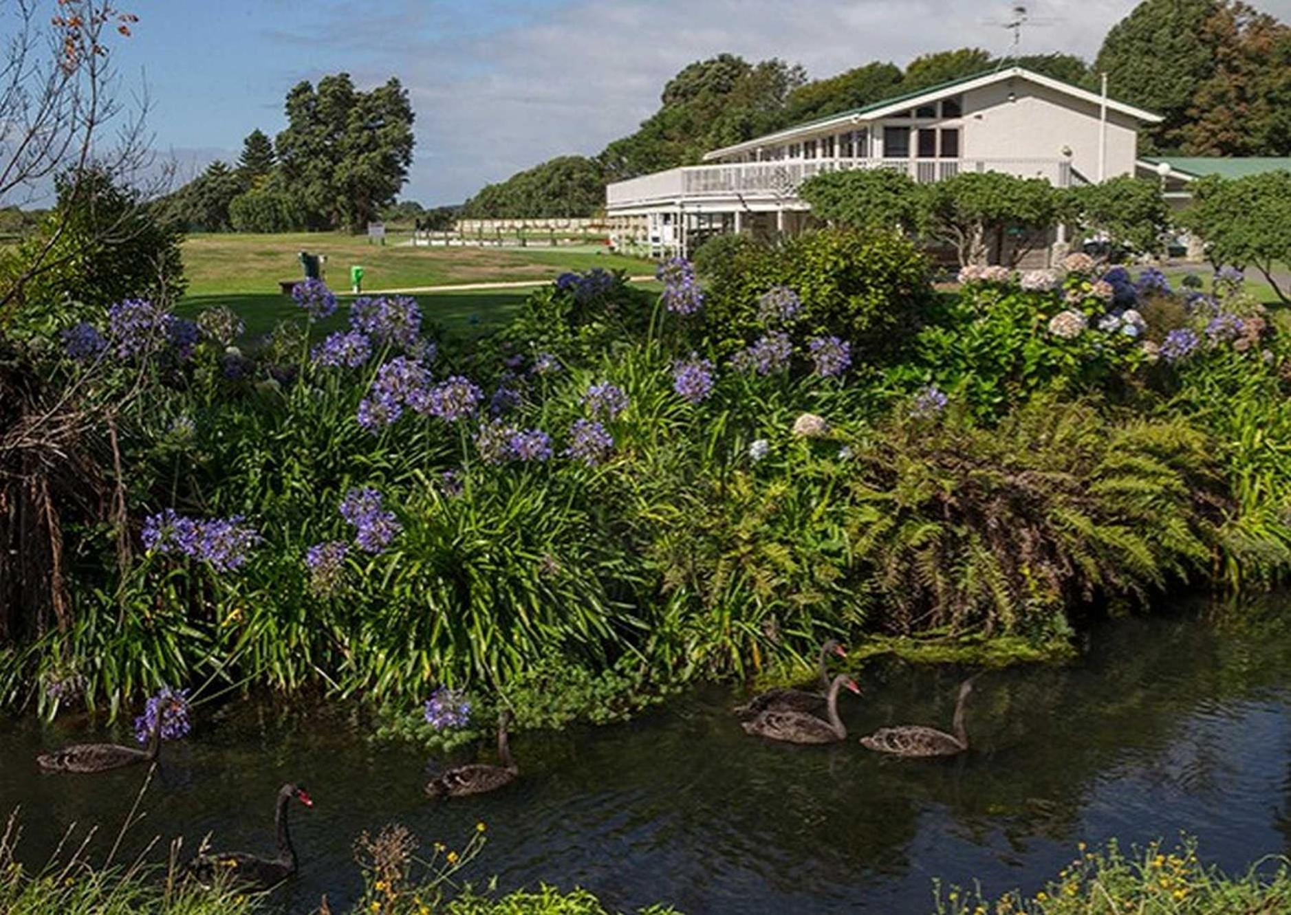 Waikanae Studio B&B Zewnętrze zdjęcie